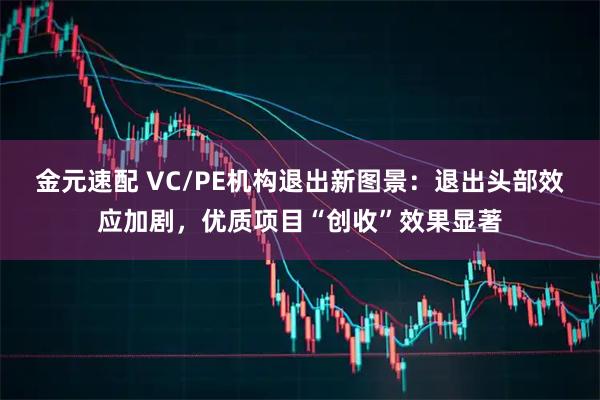 金元速配 VC/PE机构退出新图景：退出头部效应加剧，优质项目“创收”效果显著