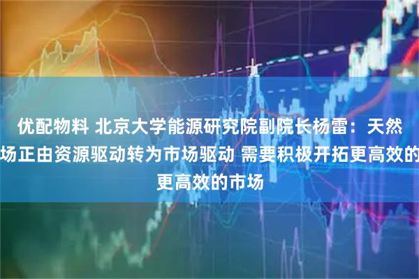 优配物料 北京大学能源研究院副院长杨雷：天然气市场正由资源驱动转为市场驱动 需要积极开拓更高效的市场