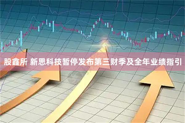股鑫所 新思科技暂停发布第三财季及全年业绩指引