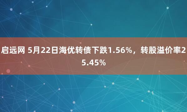 启远网 5月22日海优转债下跌1.56%，转股溢价率25.45%