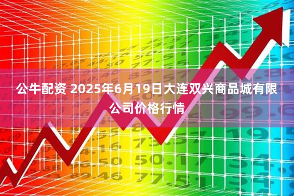 公牛配资 2025年6月19日大连双兴商品城有限公司价格行情