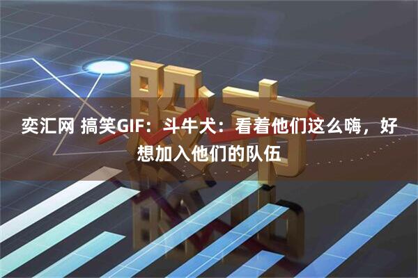 奕汇网 搞笑GIF：斗牛犬：看着他们这么嗨，好想加入他们的队伍