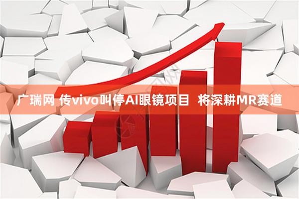 广瑞网 传vivo叫停AI眼镜项目 将深耕MR赛道