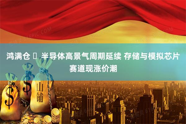 鸿满仓 ​半导体高景气周期延续 存储与模拟芯片赛道现涨价潮